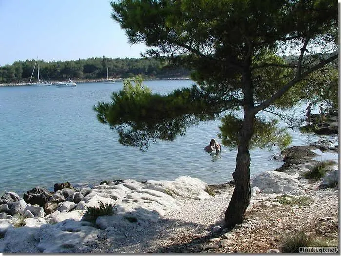 Wunderschoene Villa Mit Gym Und Privatpool Premantura Holiday home